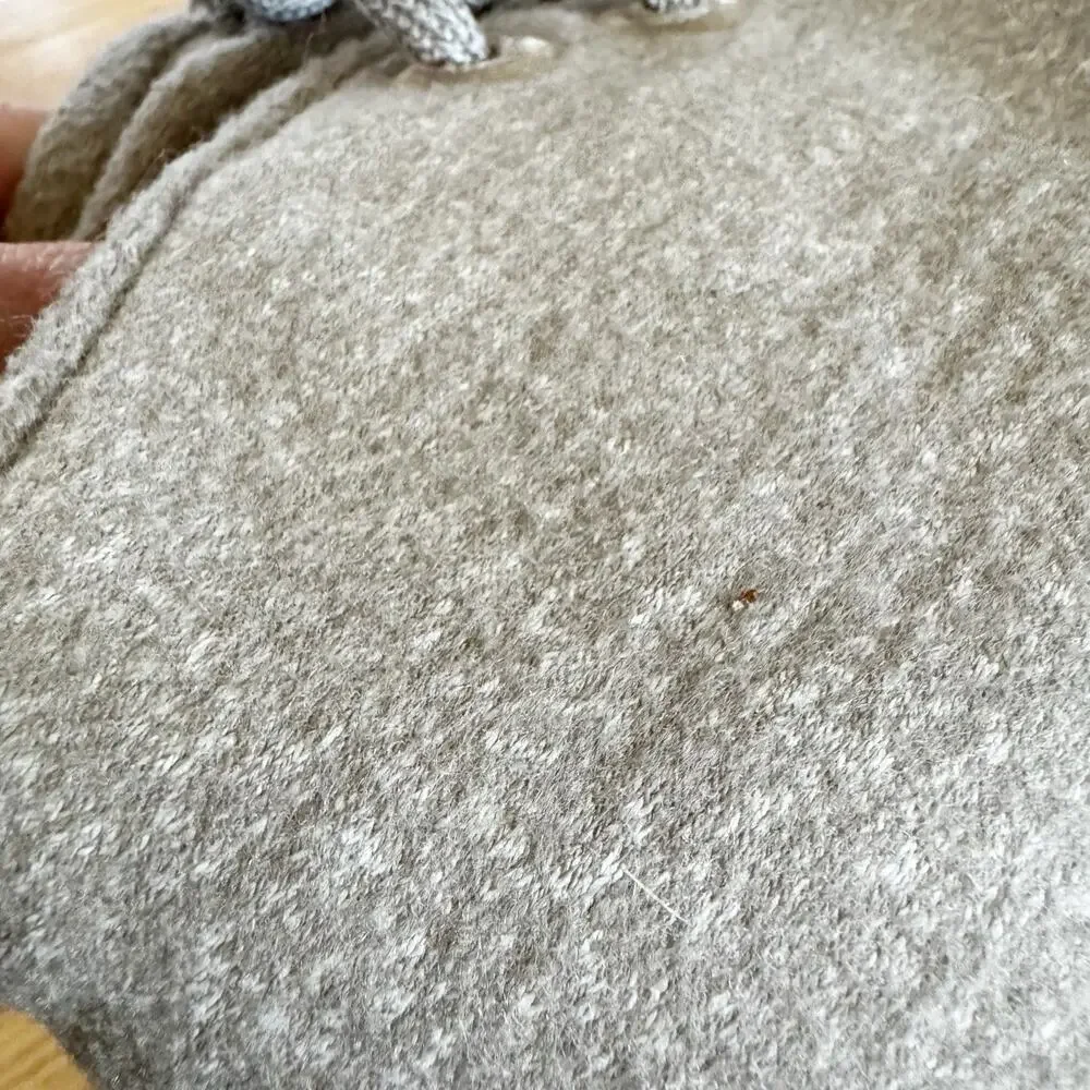 allbirds good preowned